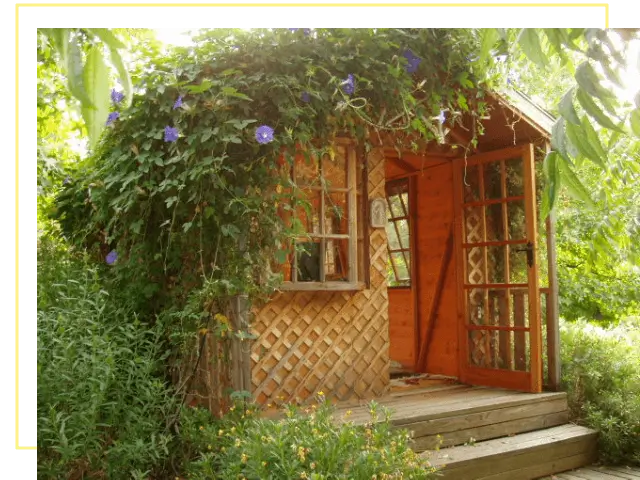 A Wooden House With Blue Color Climbers